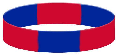 Wristband Color Example - Segmented